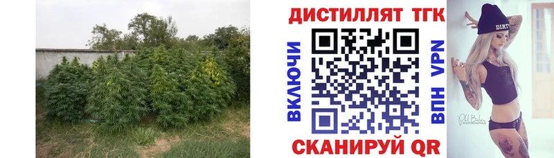 Дистиллят ТГК Wax Ржев