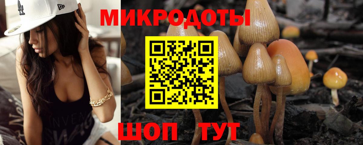 Псилоцибиновые грибы Magic Shrooms  Псилоцибиновые грибы Psilocybe  Вход с VPN  Ржев 